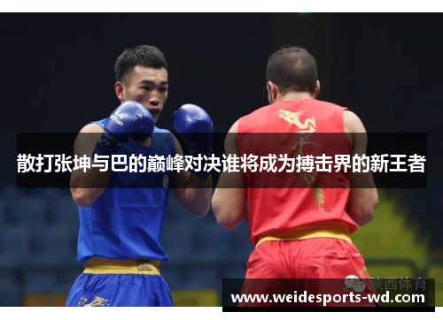 散打张坤与巴的巅峰对决谁将成为搏击界的新王者